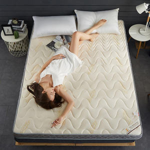 Domácí náhradní postel odolná proti vlhkosti role skládací silná 10 cm pěna 35 x 75 palců
